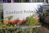 Loxford polyclinic 2